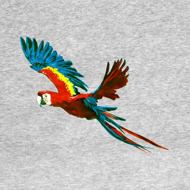 Scarlet Macaw 2 by A.E. Kieren Illustration